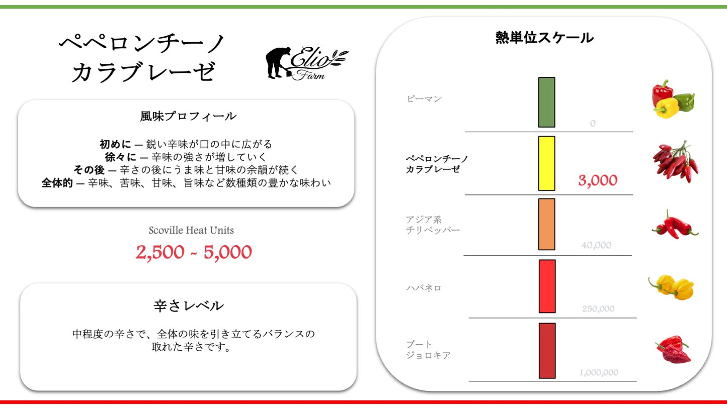 カラブリア産ペペロンチーノオイル 漬け