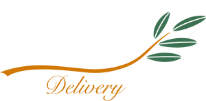 Elio Delivery